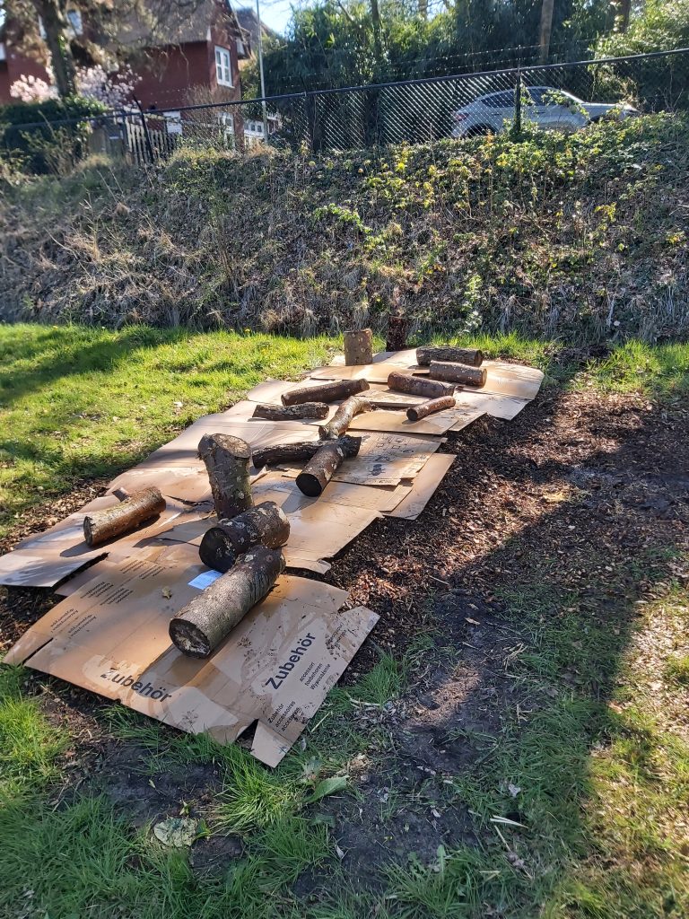 20250407 155726 20250407 155726